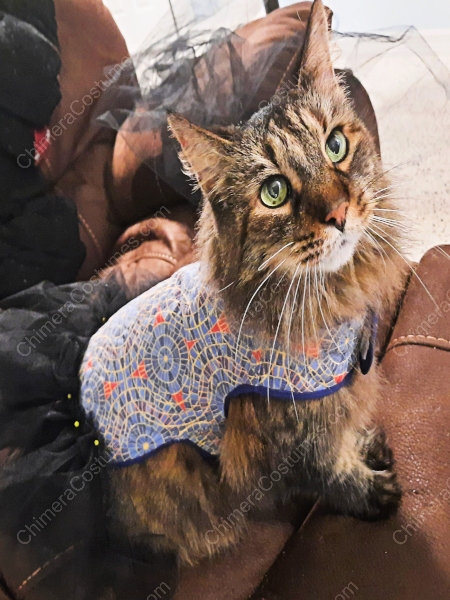 A striking jacket adorned with a captivating blend of cat-themed accents and the iconic Marriott carpet pattern, epitomizing the spirit of creativity at conventions.